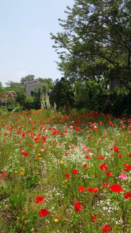 Baghdad House Villa Jeju Luaran gambar