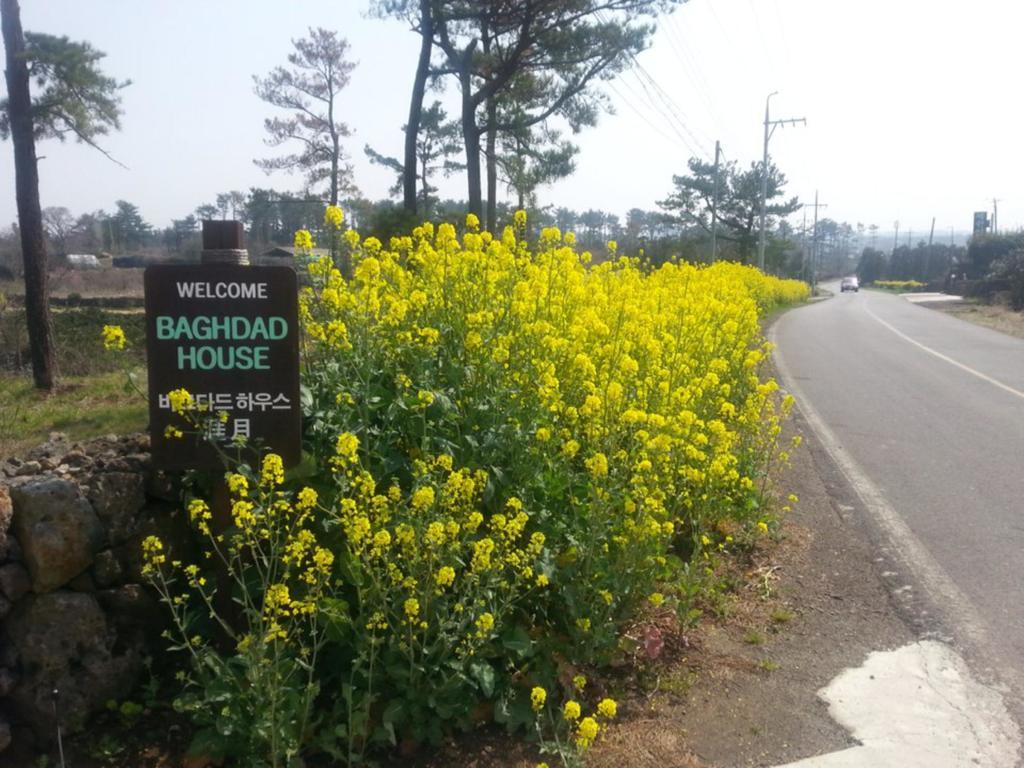 Baghdad House Villa Jeju Luaran gambar