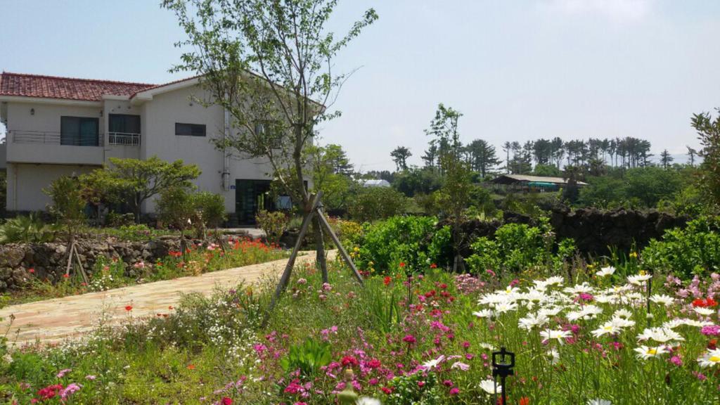 Baghdad House Villa Jeju Luaran gambar