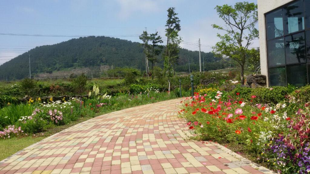 Baghdad House Villa Jeju Luaran gambar