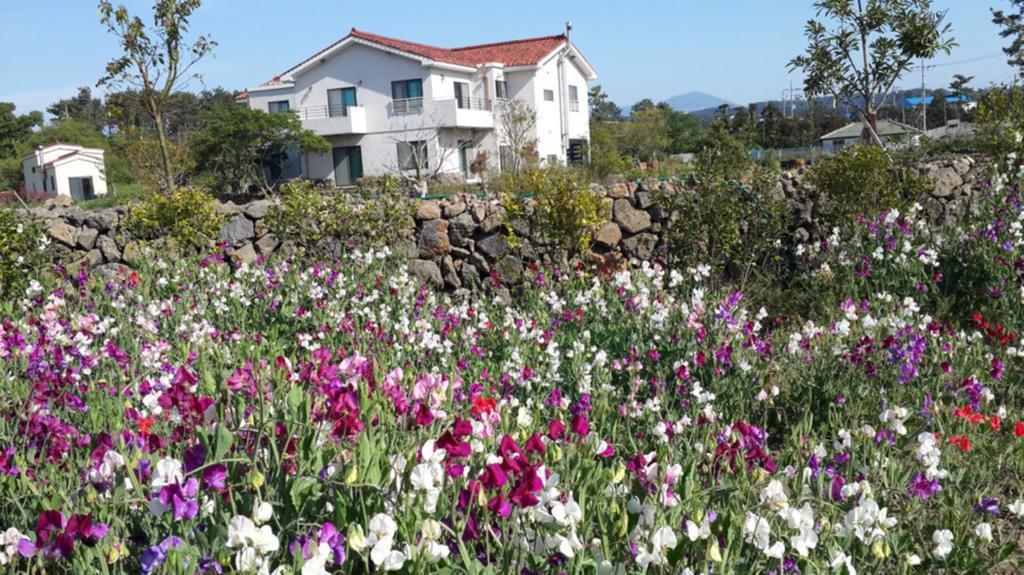 Baghdad House Villa Jeju Luaran gambar