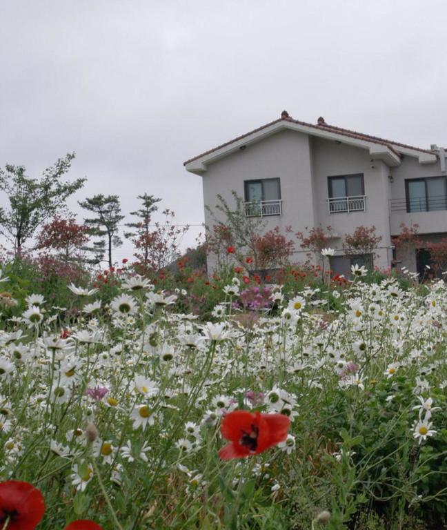 Baghdad House Villa Jeju Luaran gambar