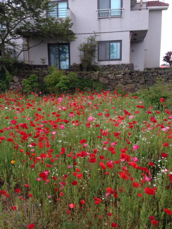 Baghdad House Villa Jeju Luaran gambar