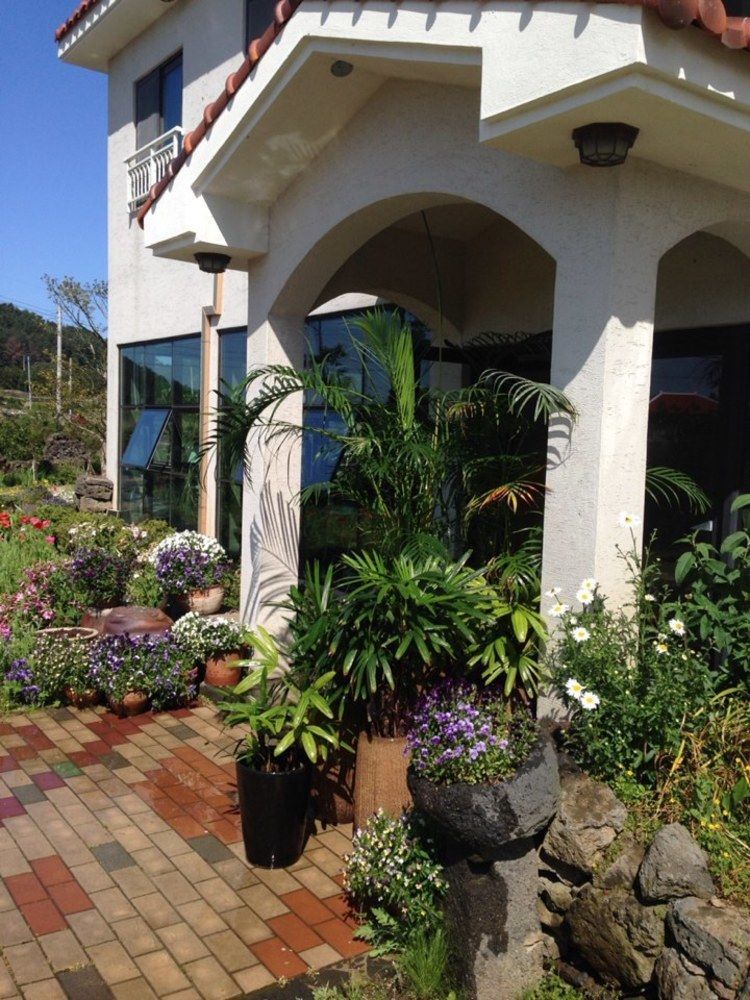 Baghdad House Villa Jeju Luaran gambar